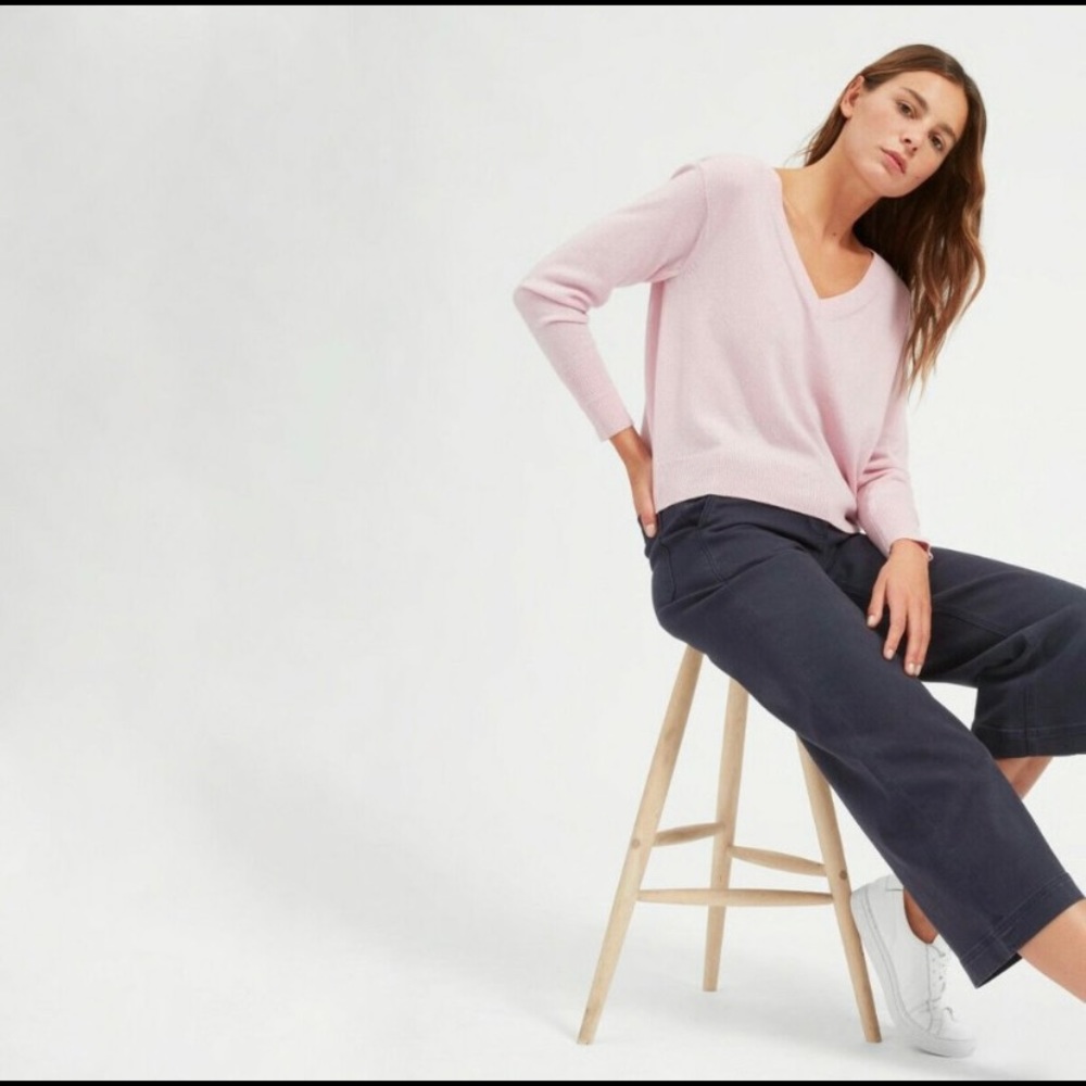 EVERLANE The Cashmere V Neck - Pink